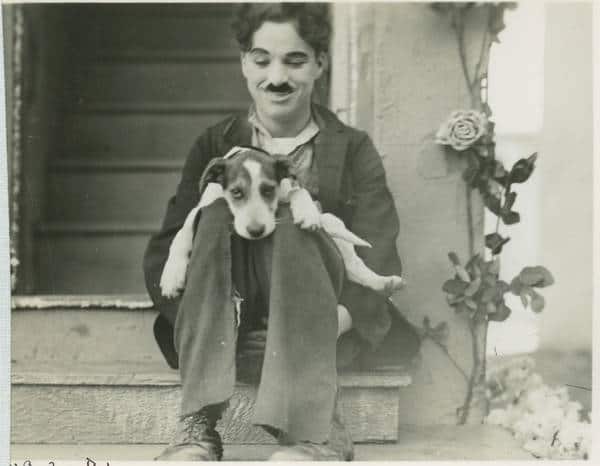 Beitragsbild für "Sonne im Herzen mit Charlie Chaplin"